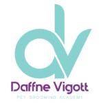 DVLogo1