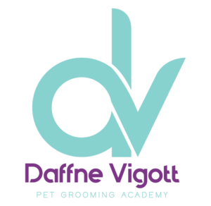 DVLogo1