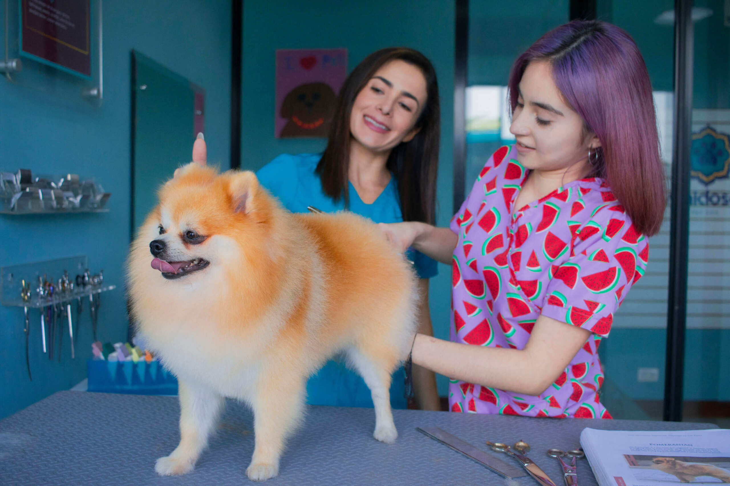 Daffne Vigott Pet Grooming Academy